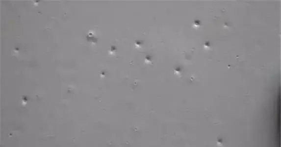 乳膠漆消泡劑應(yīng)用